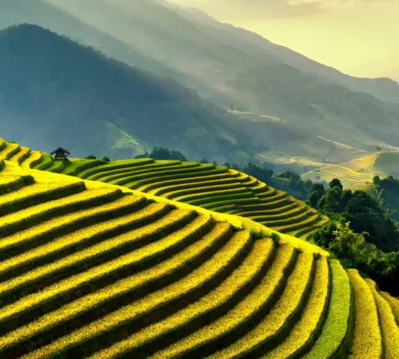 We grow fresh, organic produce using clean methods that protect nature, healthy food.