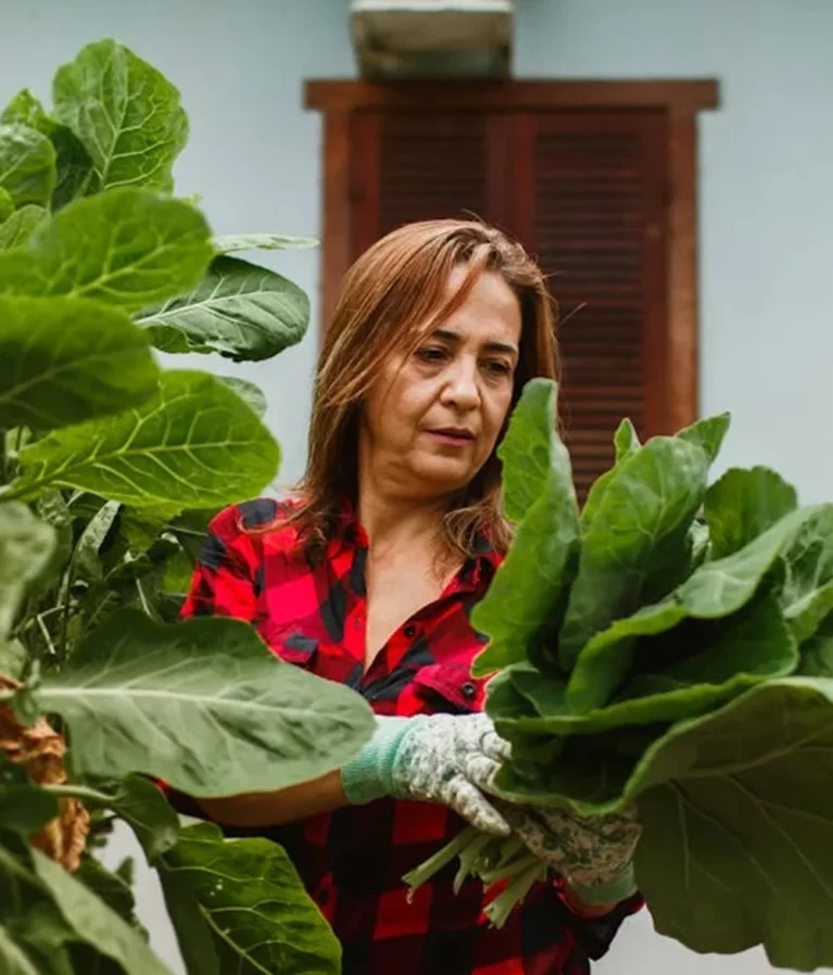We grow fresh, organic produce using clean methods that protect nature, healthy food.