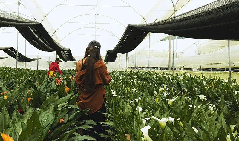 There are many variations of passages of Lorem Ipsum available, but majority have suffered teration in some form, by injected humour, or randomised words which don't look even slight believable. If you are going to use a passage of Lorem Ipsum.