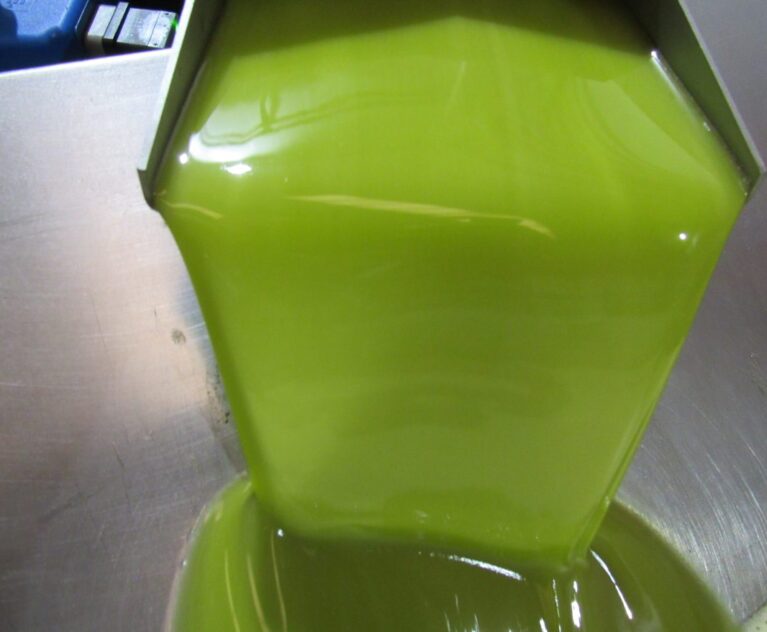 Ultrices sagittis orci a scelerisque purus semper eget duis at. Sollicitudin nibh sit amet.