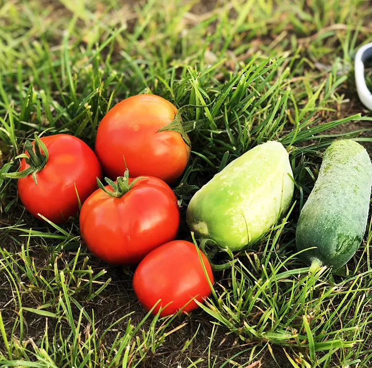 There are many variations of passages of Lorem Ipsum available, but majority have suffered teration in some form, by injected humour, or randomised words which don't look even slight believable. If you are going to use a passage of Lorem Ipsum.