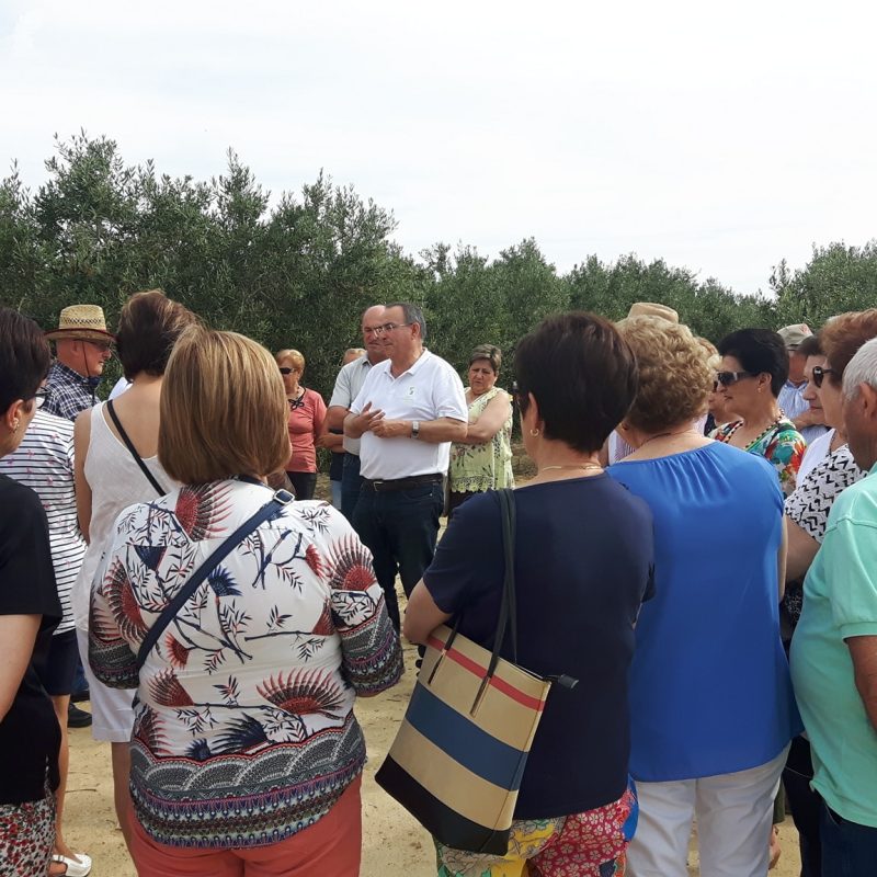 64404016_1306097202872646_1042889596444082176_n