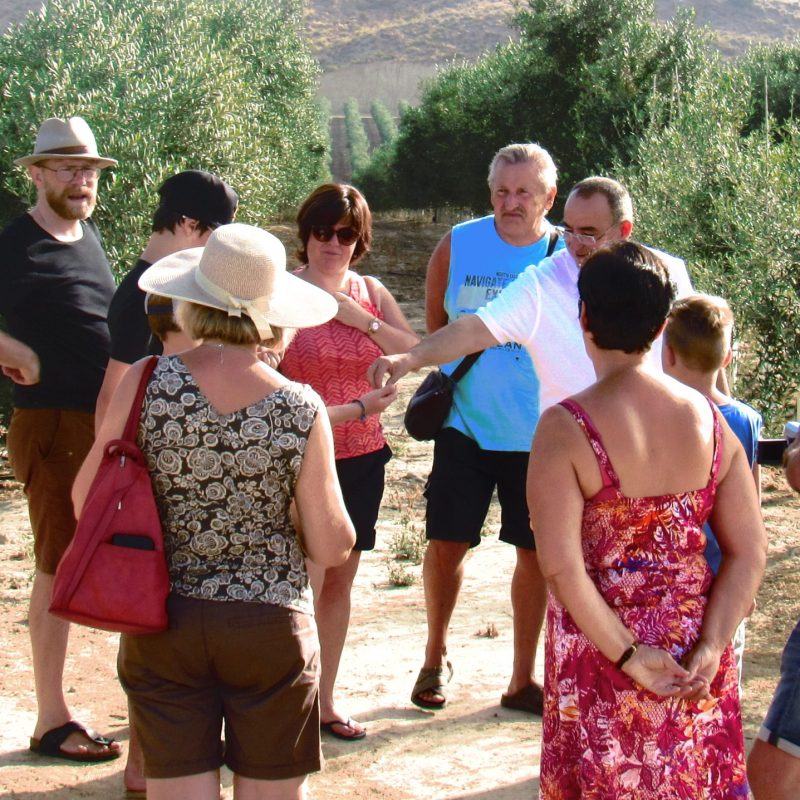 Oleoturismo aceite de oliva virgen extra almeria pulpi spain